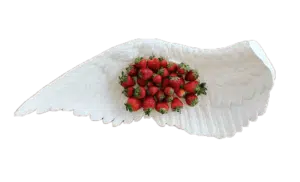 Wing Left Seletti
