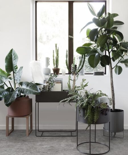 Plant Box Ferm Living