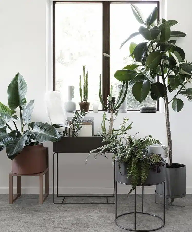 Plant Box - Black - Ferm Living 2 Plant Box Ferm Living