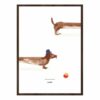 Paper Collective - 70x50 - Doug the Dachshund - dark oak frame