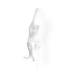 Candeeiro de parede Monkey Hanging da Seletti